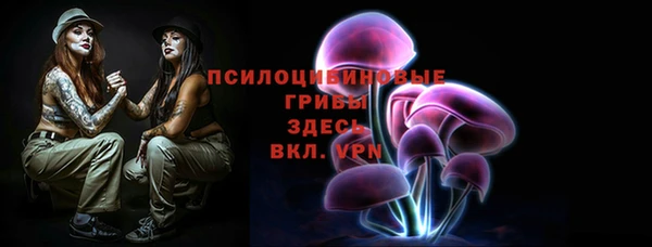 индика Зеленодольск