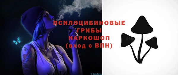 гидра Кодинск