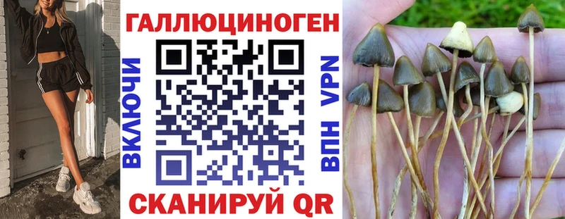 Галлюциногенные грибы мухоморы  где продают   Верхний Тагил 